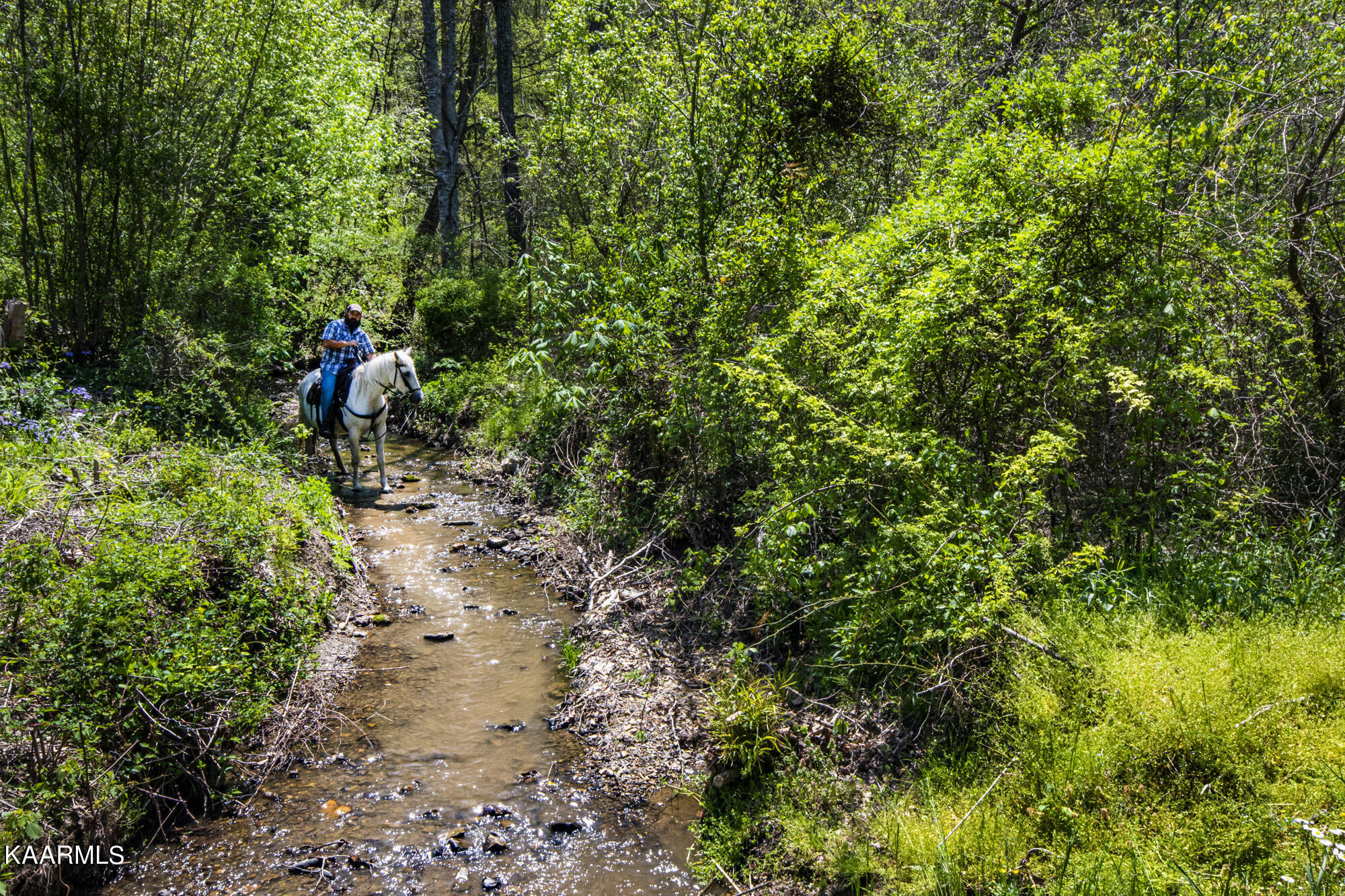 Kettle Hollow Road Maynardville, TN 37807 - Photo 41 of 51 V19A9266