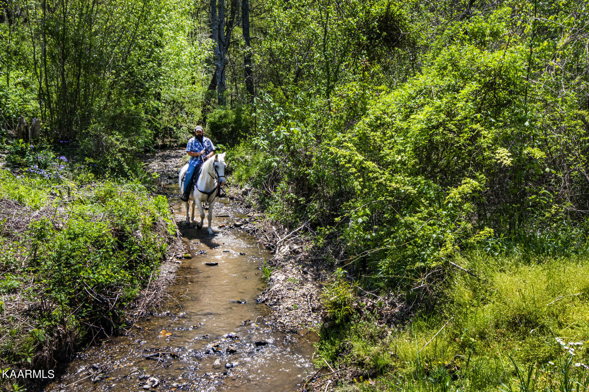 Kettle Hollow Road Maynardville, TN 37807 - Photo 42 of 51 V19A9267