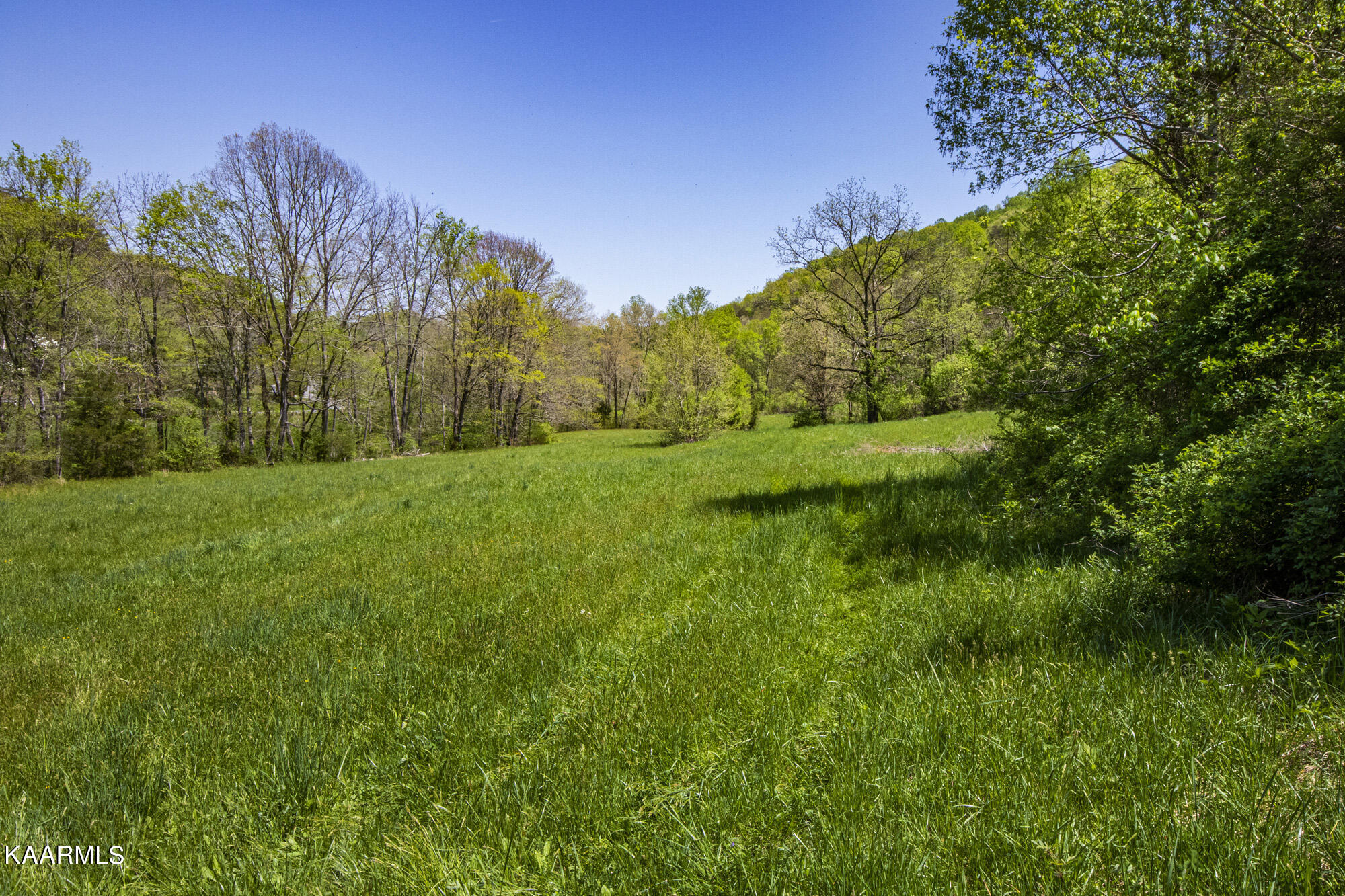 Kettle Hollow Road Maynardville, TN 37807 - Photo 43 of 51 V19A9292