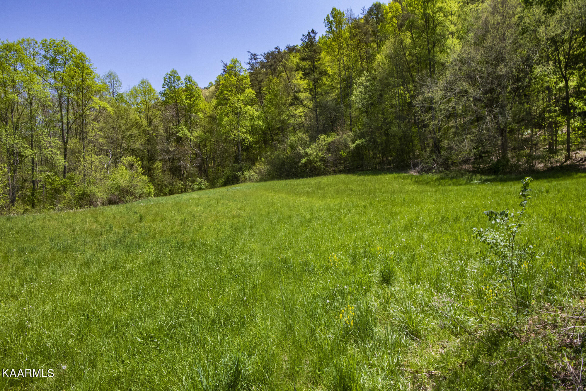 Kettle Hollow Road Maynardville, TN 37807 - Photo 44 of 51 V19A9295