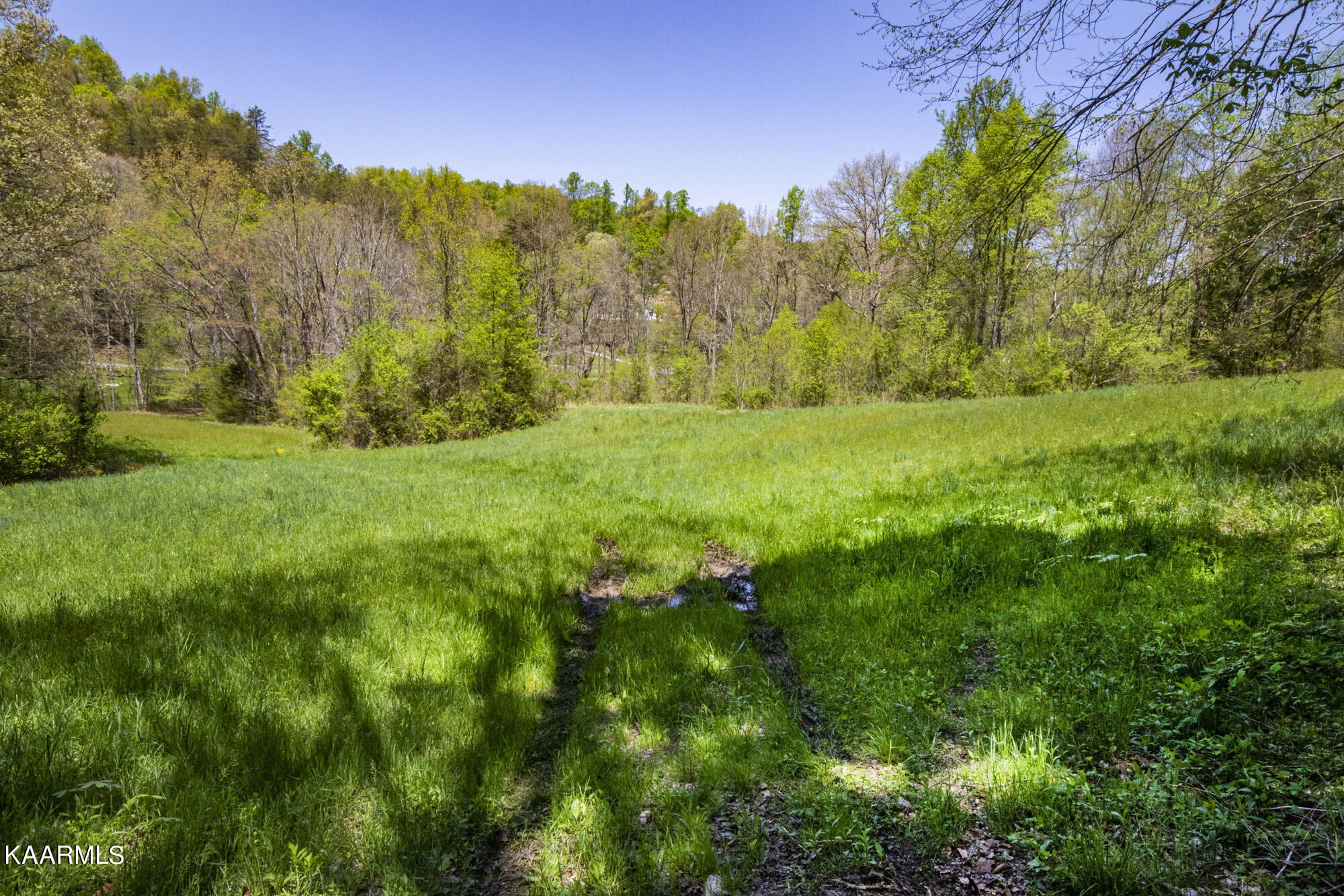 Kettle Hollow Road Maynardville, TN 37807 - Photo 47 of 51 V19A9299
