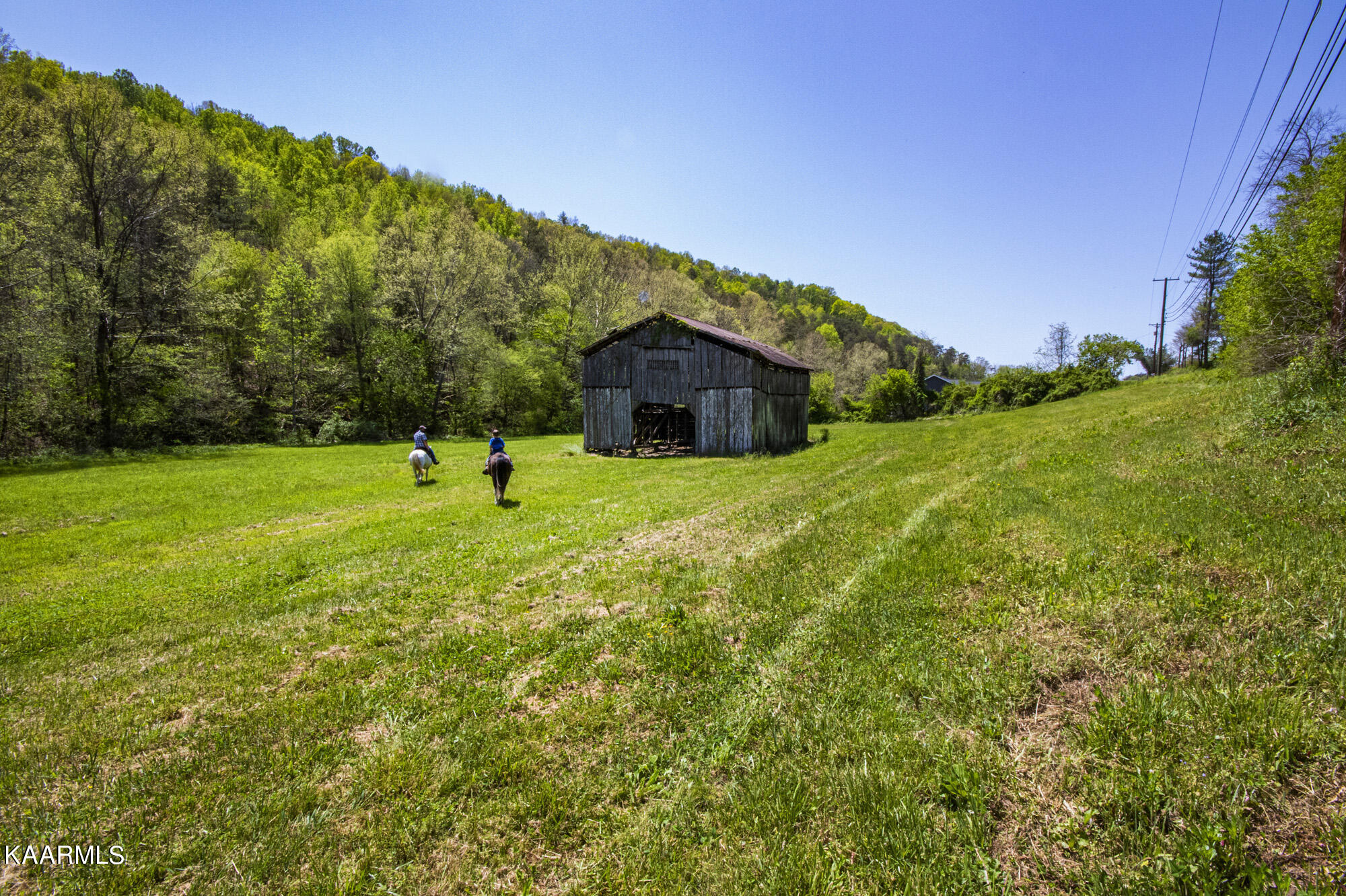 Kettle Hollow Road Maynardville, TN 37807 - Photo 48 of 51 V19A9245
