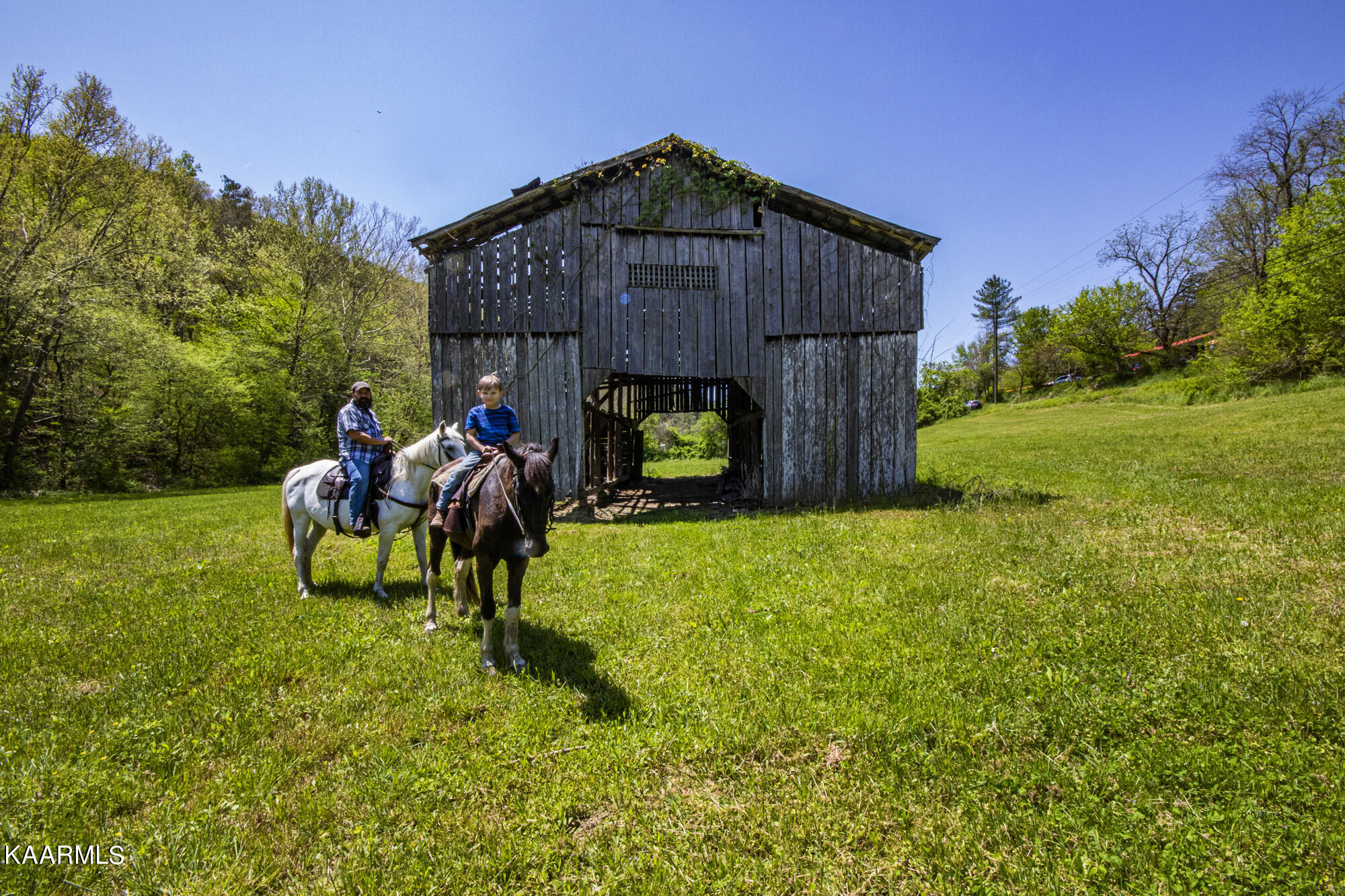 Kettle Hollow Road Maynardville, TN 37807 - Photo 49 of 51 V19A9252