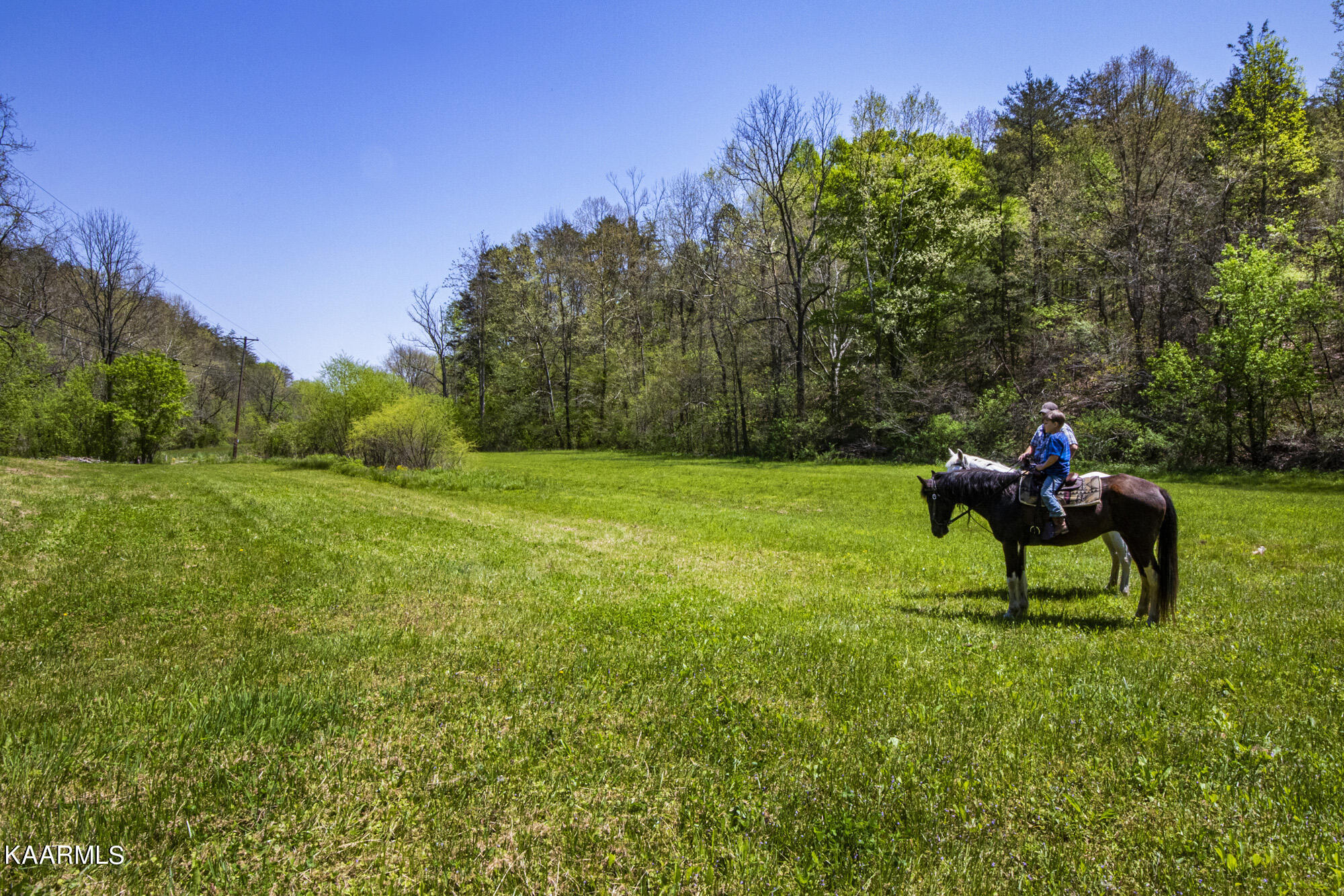 Kettle Hollow Road Maynardville, TN 37807 - Photo 50 of 51 V19A9253