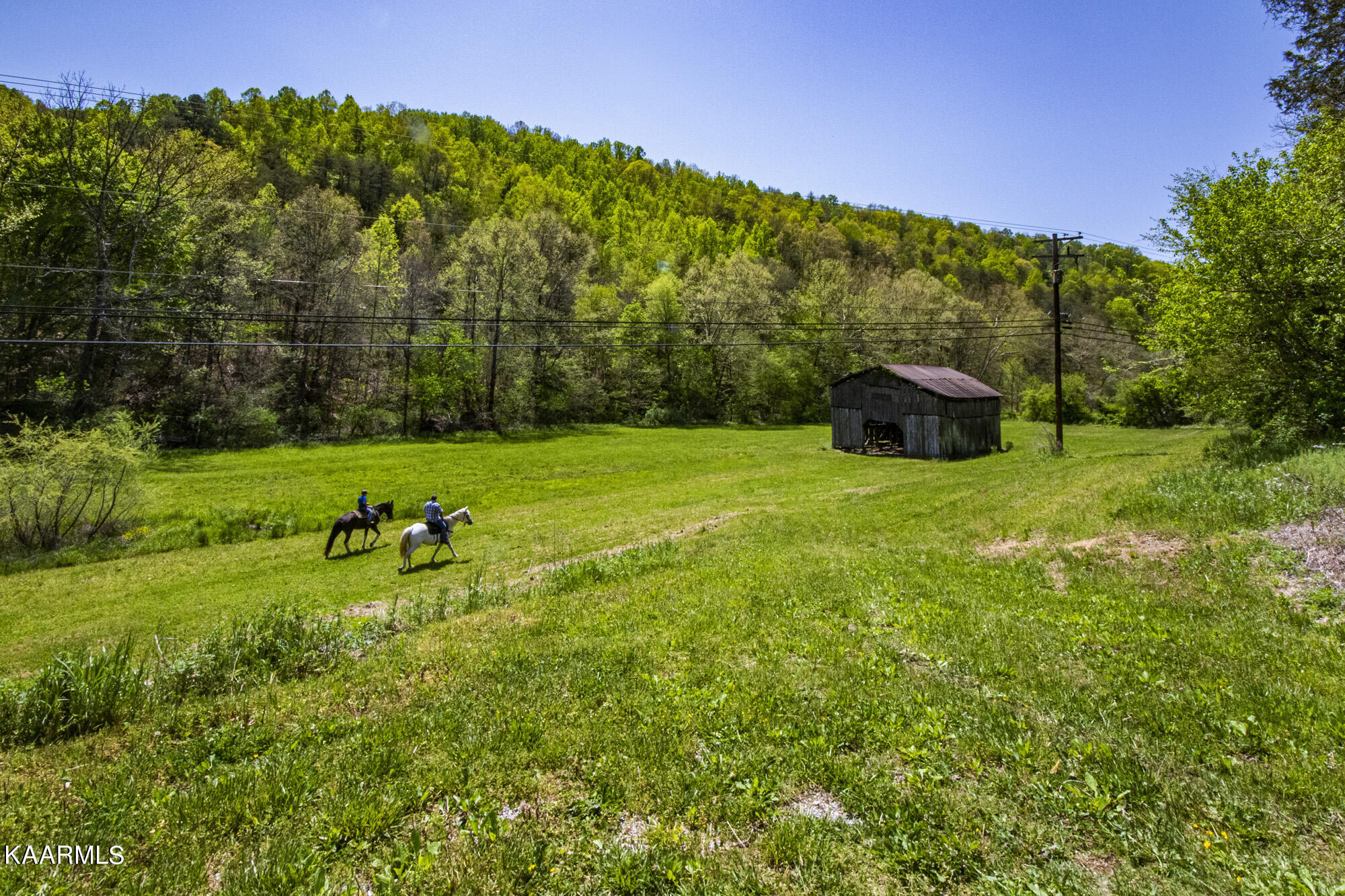 Kettle Hollow Road Maynardville, TN 37807 - Photo 7 of 51 V19A9242