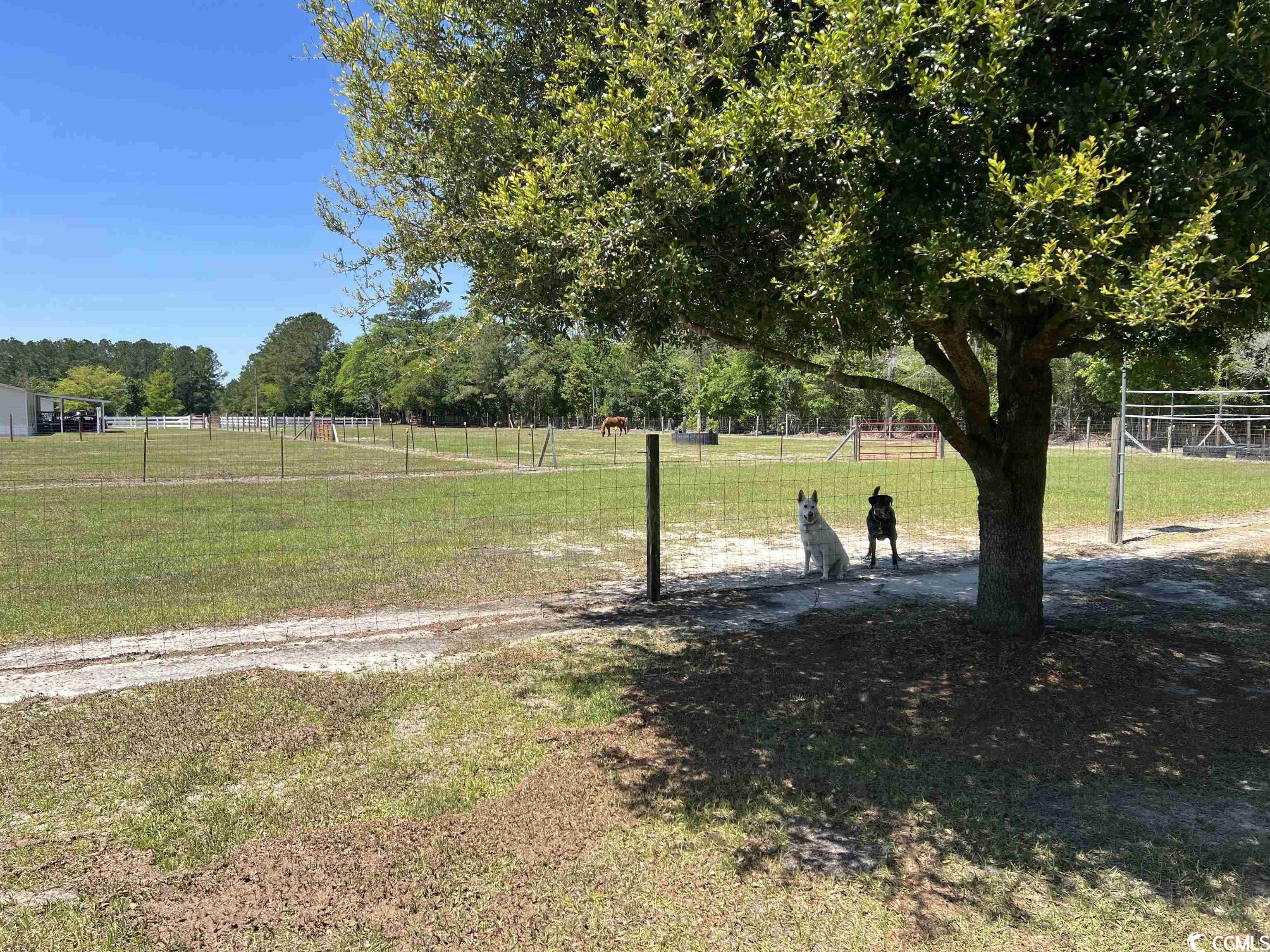 1779 Greenpond Road Loris, SC 29569 - Photo 29 of 36 Gallery Image 29