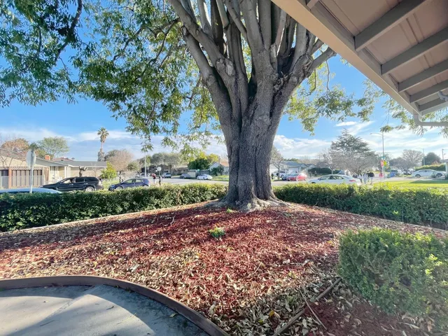 $4,250 | 4879 Boone Drive, Fremont, CA 94538