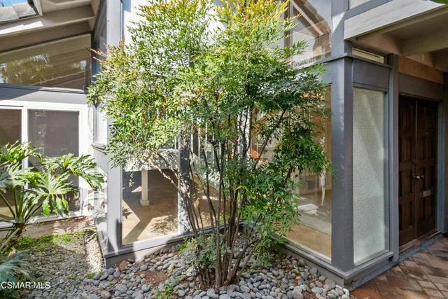 a potted plant sitting in front of a house