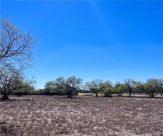 a view of a yard with an trees