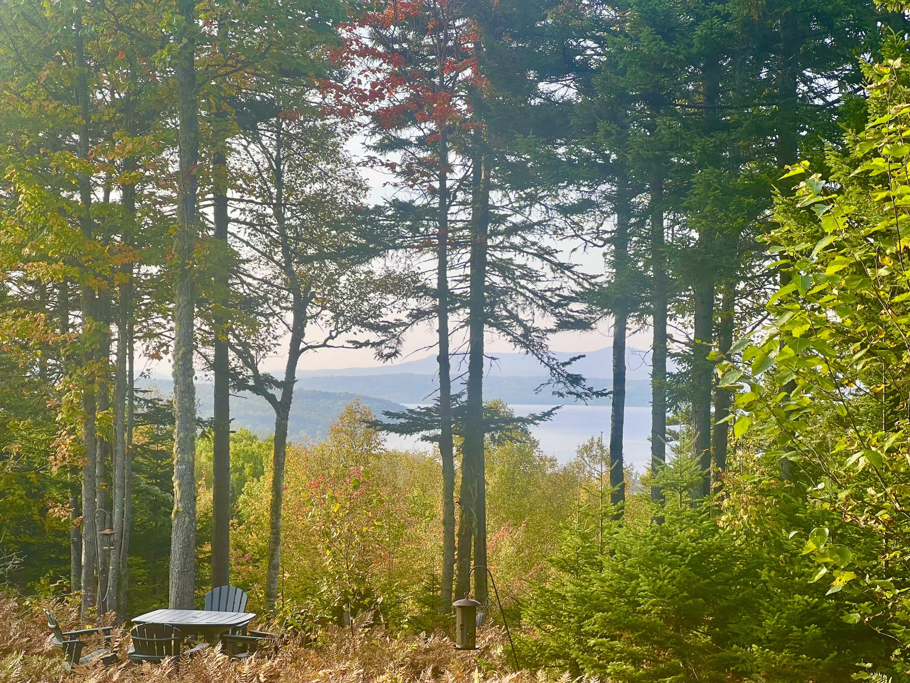 13 Mill Brook Road Sandy River Plt, ME 04970 - Photo 7 of 21 View