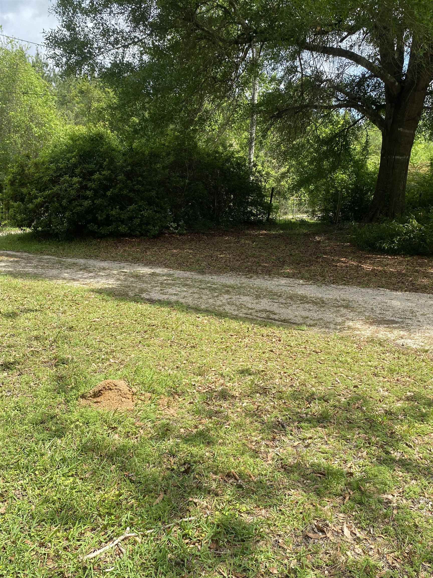 8456 McGallion Road Silsbee, TX 77656 - Photo 3 of 20