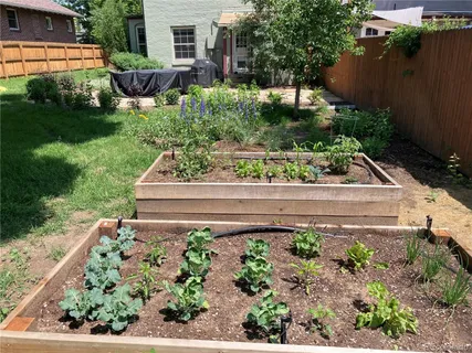 a view of a garden with a bench