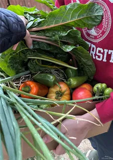 a view of an outdoor space