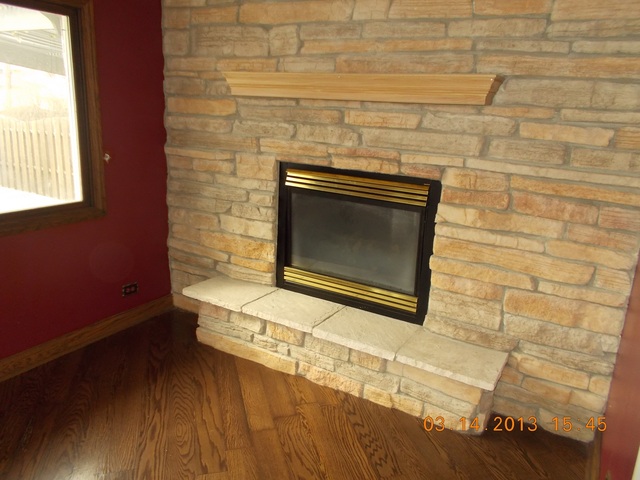 11016 Mason Avenue Chicago Ridge, IL 60415 - Photo 4 of 11