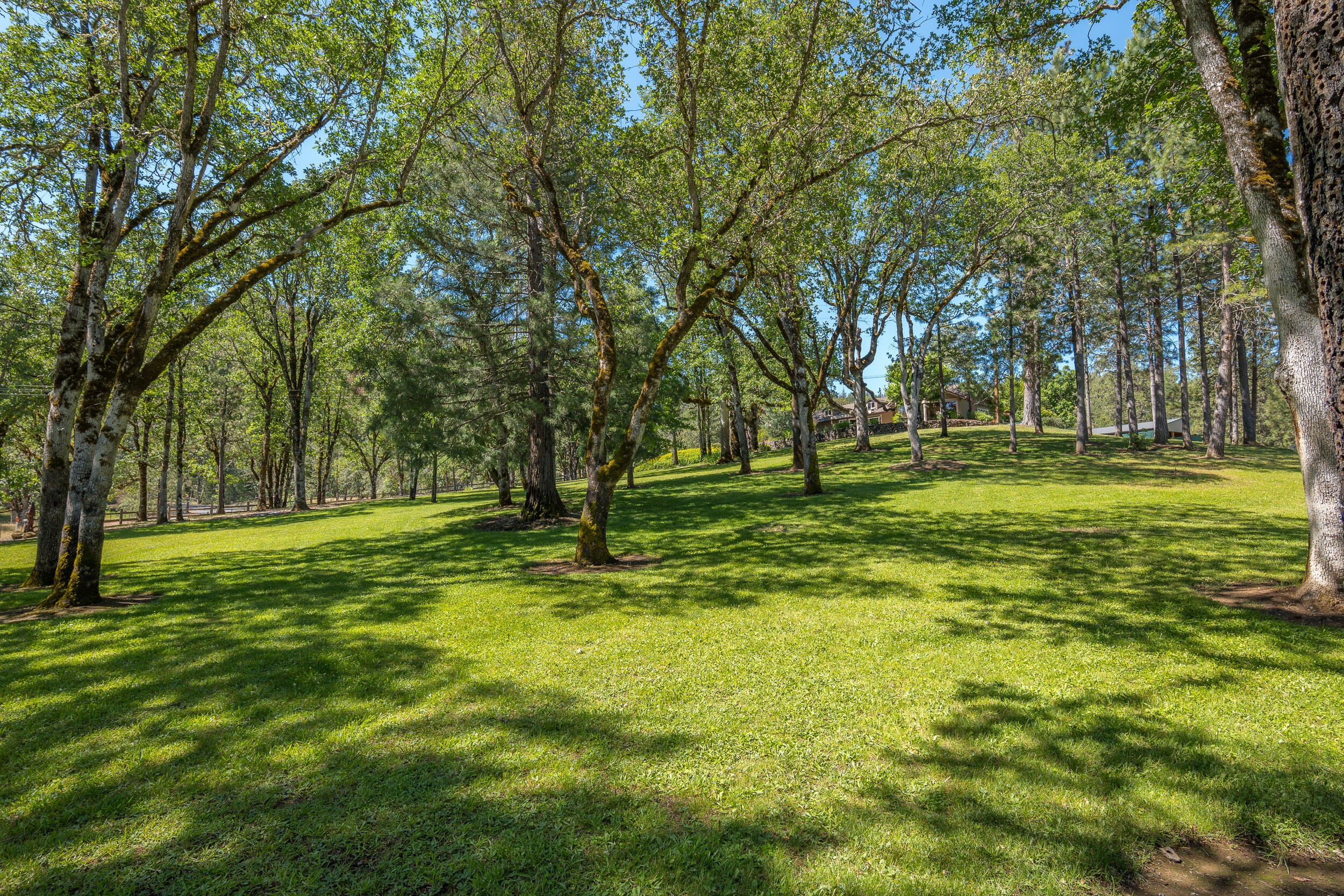 6635 Crowfoot Road Trail, OR 97541 - Photo 63 of 70 6635CrowfootRd-059