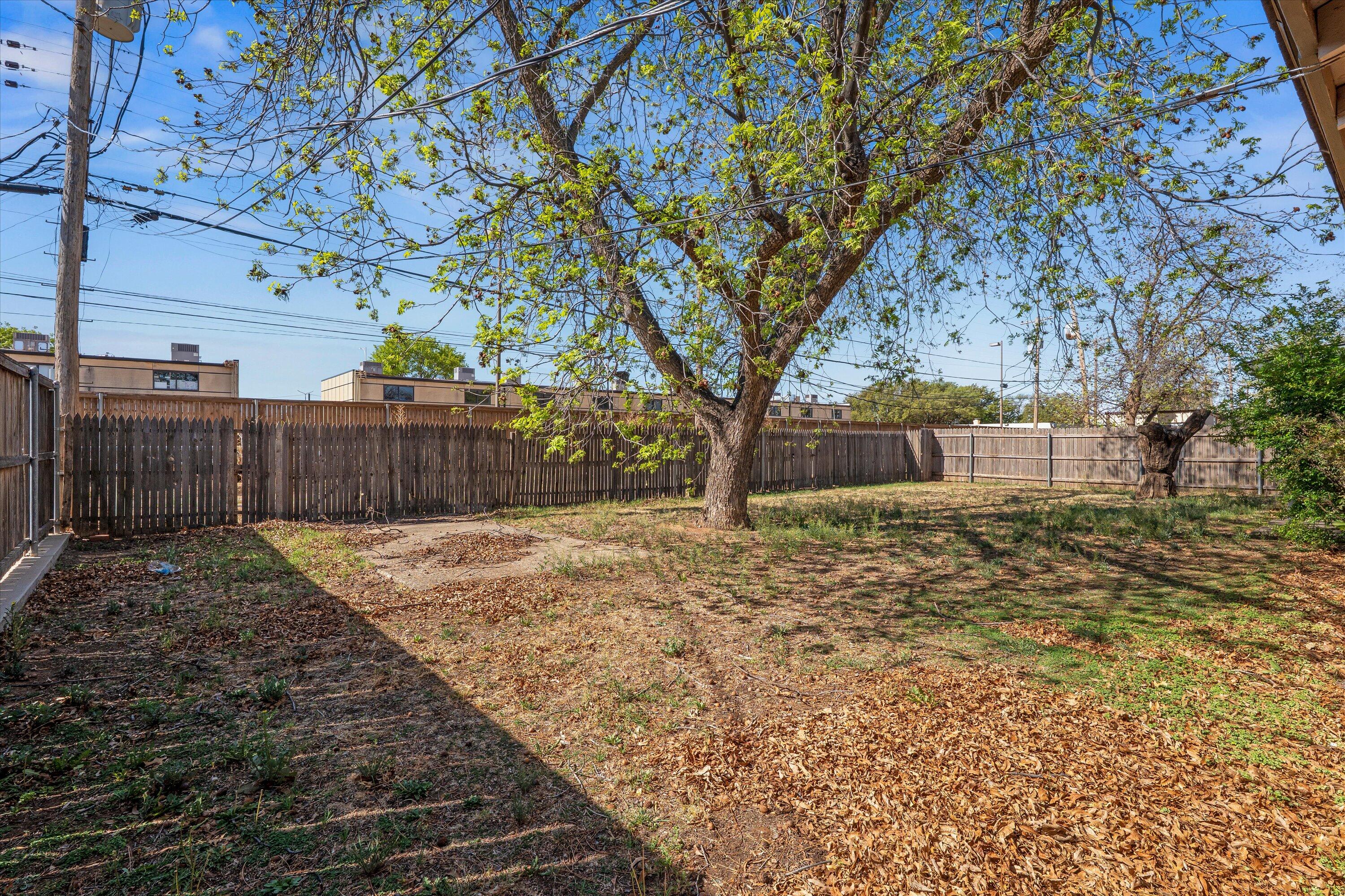 3809 49th Street Lubbock, TX 79413 - Photo 24 of 24 a view of a yard with a tree