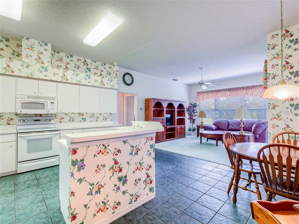 11228 Windrush Circle Hudson, FL 34667 - Photo 21 of 67 a living room with furniture and painting on the wall