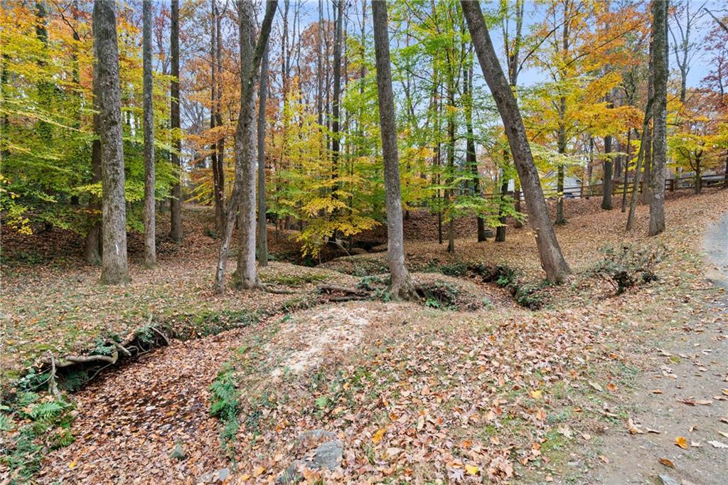 2608 Laurelwood Road Atlanta, GA 30360 - Photo 36 of 45 a backyard of a house with lots of green space