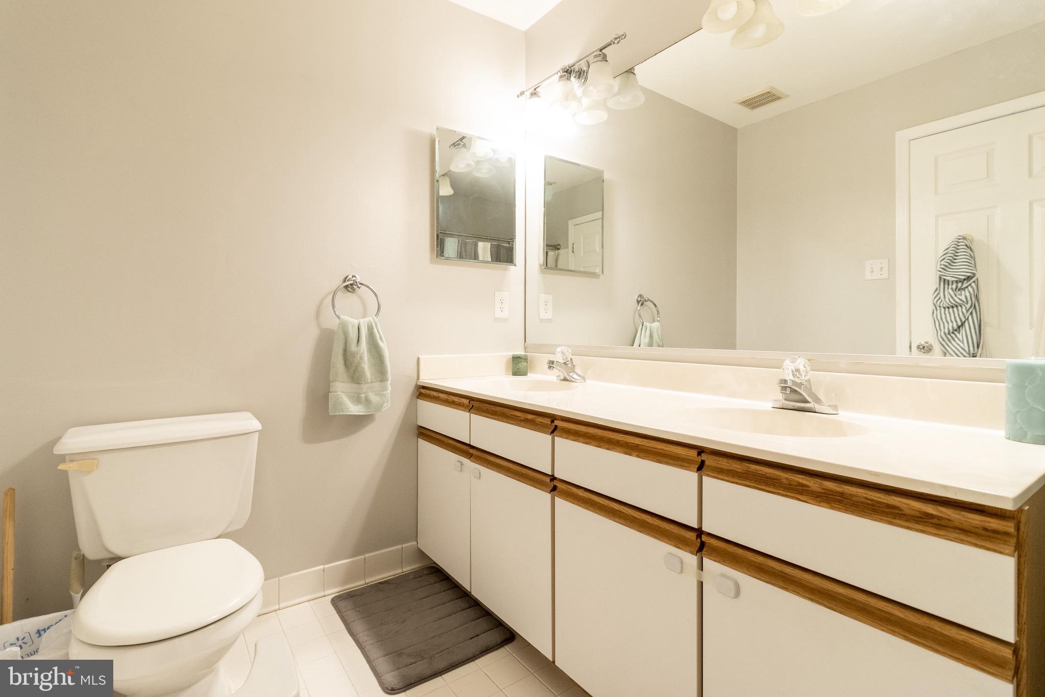 314 White Rocks Court Pasadena, MD 21122 - Photo 20 of 39 Dual vanities in the owner's suite!
