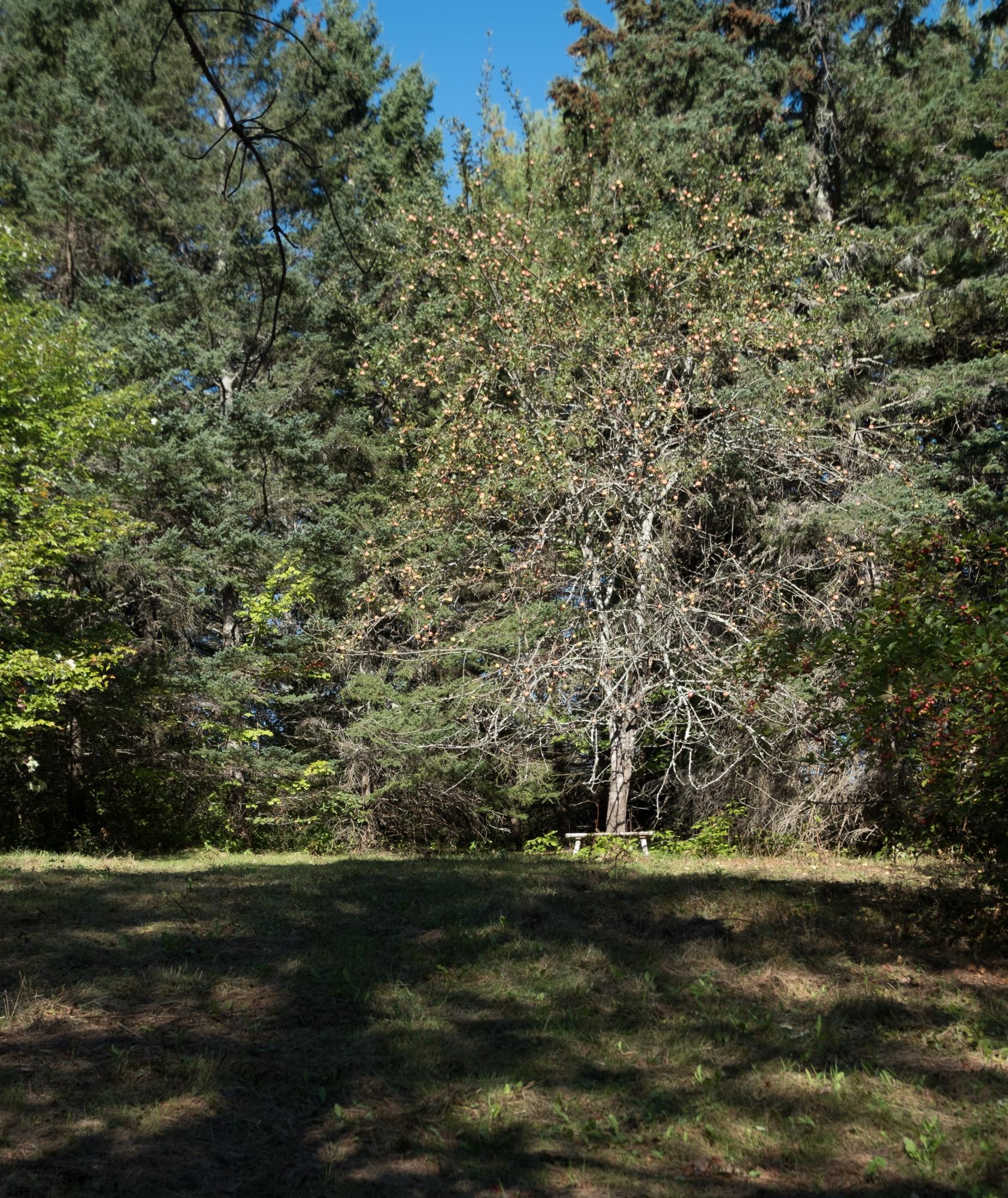42 Salt Pond Road Friendship, ME 04547 - Photo 55 of 59 42 Salt Pond Road-Friendship(12)