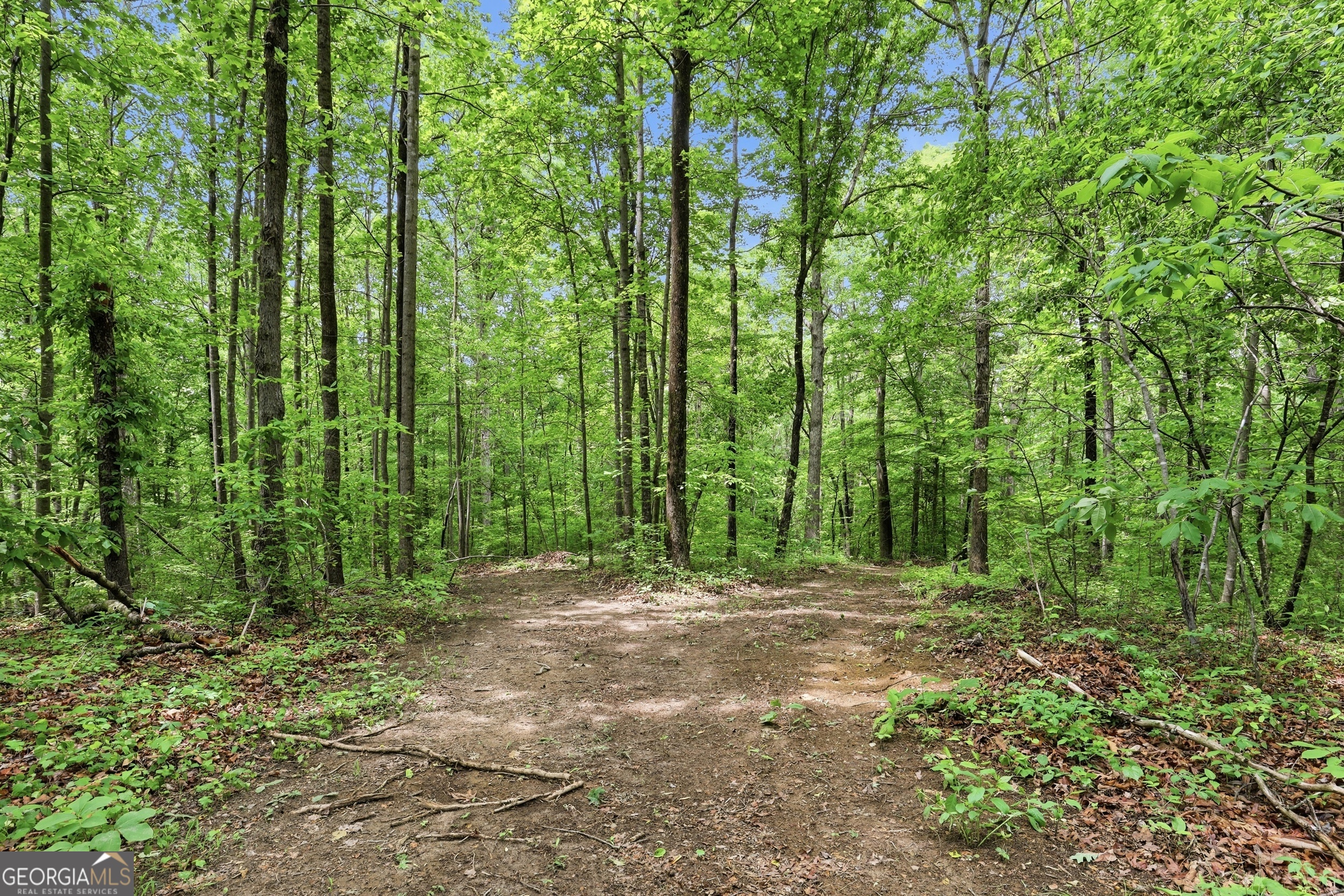 412 Tower Road Martin, GA 30557 - Photo 17 of 49