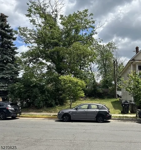 a view of a yard with plants and large trees