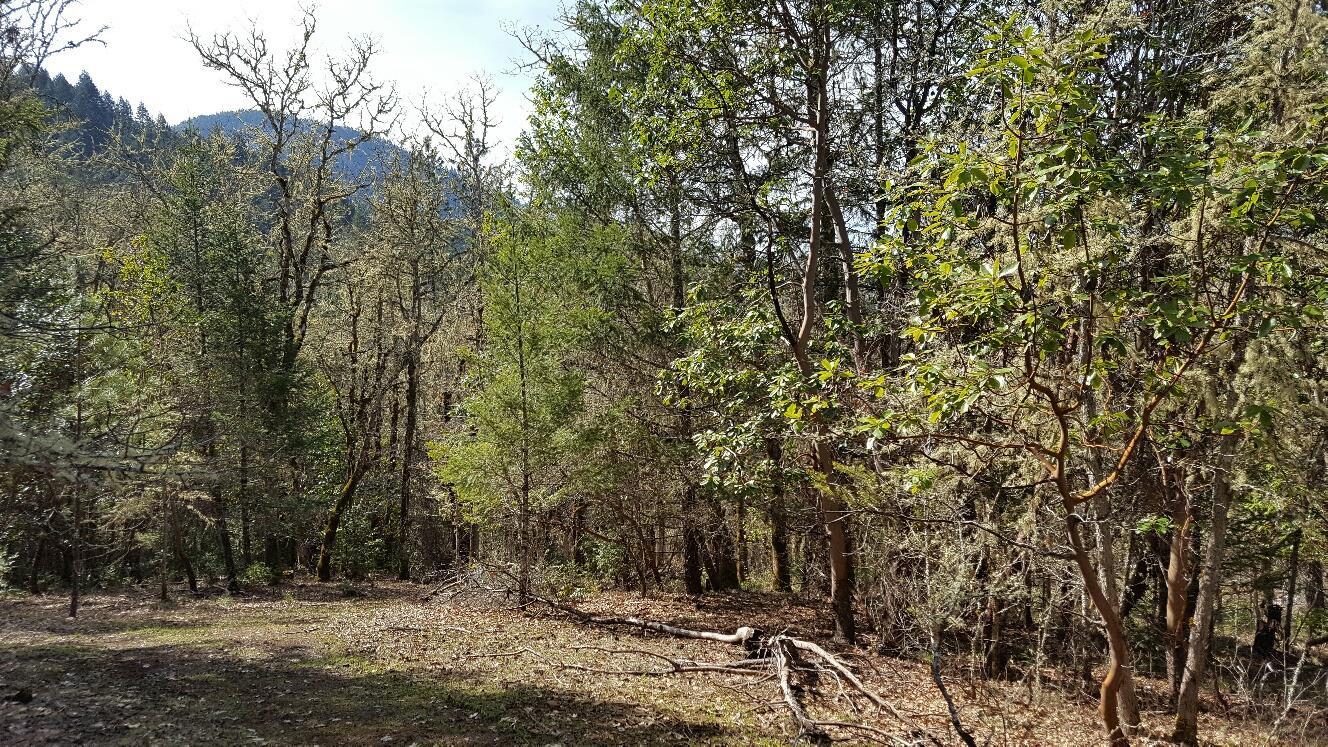 535 Murphy Gulch Road Rogue River, OR 97537 - Photo 24 of 25 Additional Photo