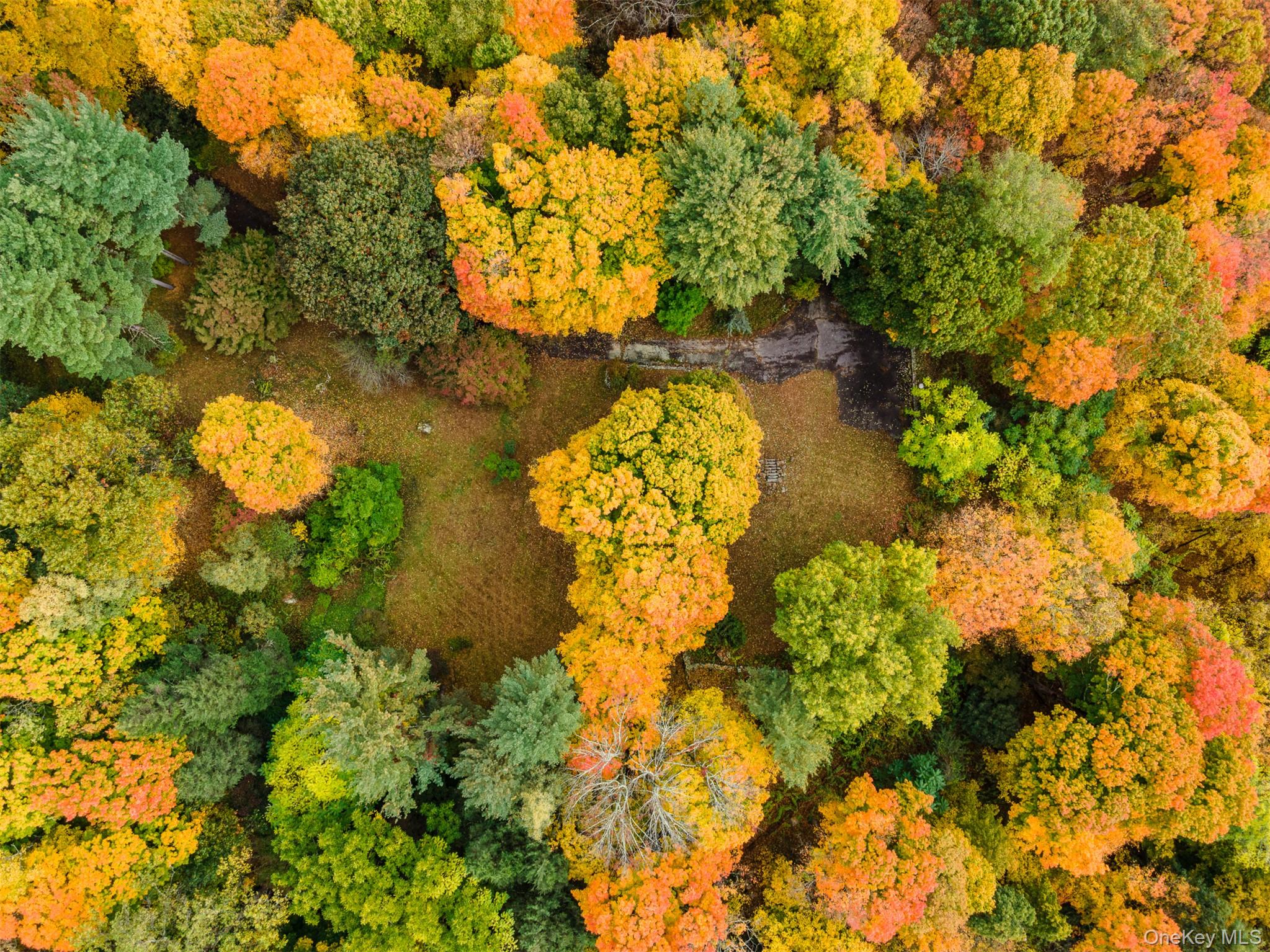 115 Old Roaring Brook Road Mount Kisco, NY 10549 - Photo 11 of 11