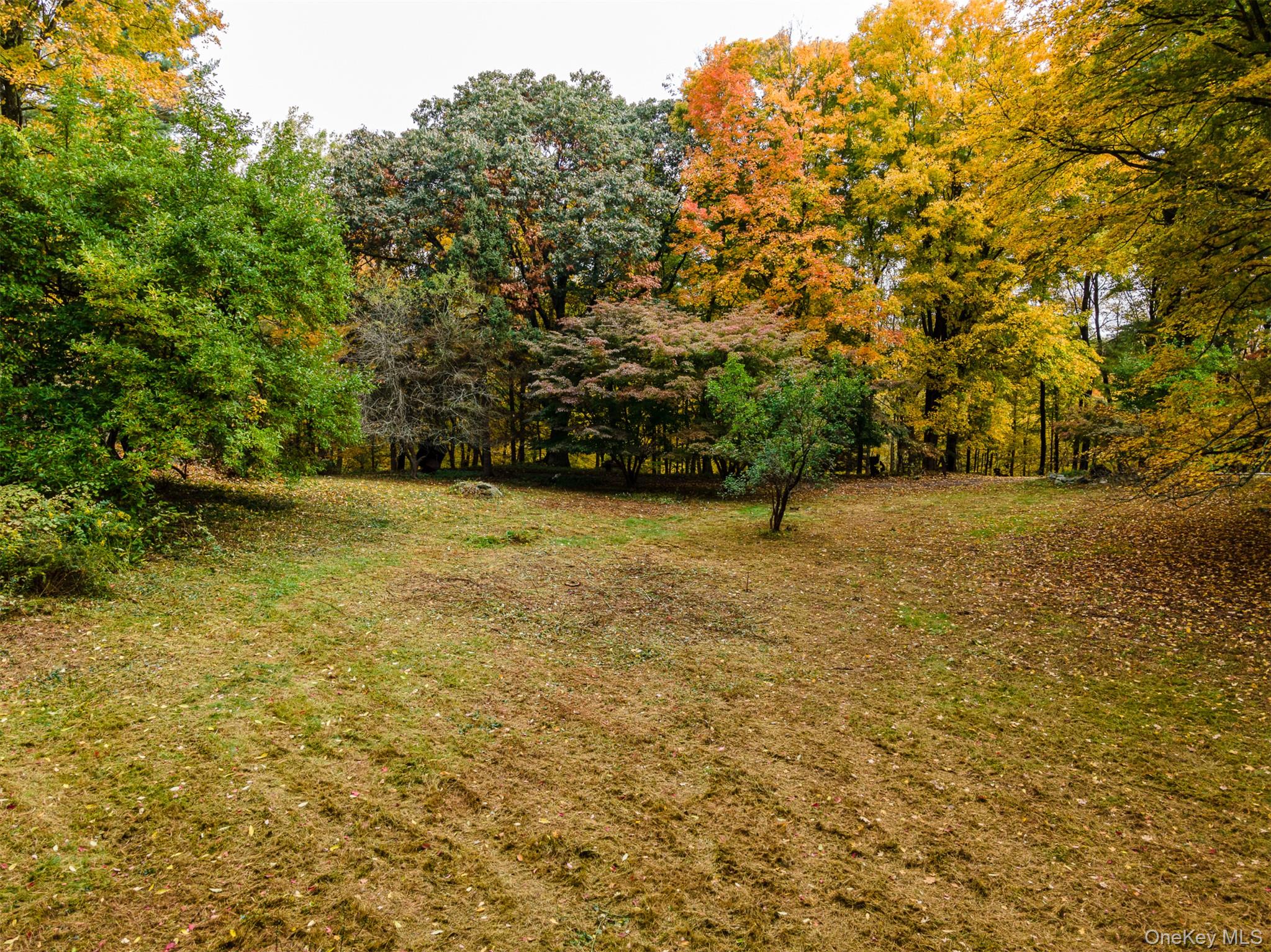 115 Old Roaring Brook Road Mount Kisco, NY 10549 - Photo 11 of 20 a view of outdoor space and yard