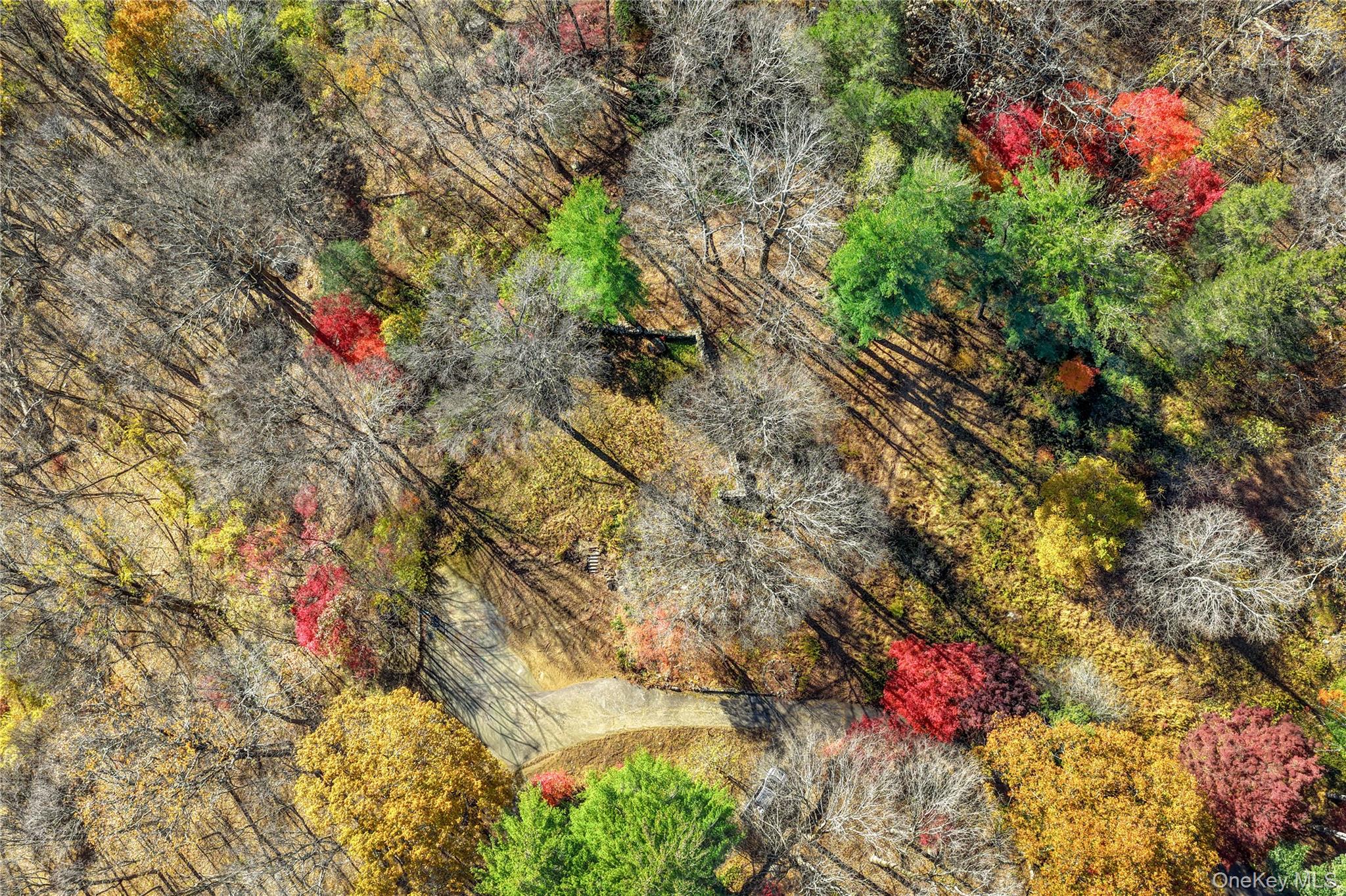 115 Old Roaring Brook Road Mount Kisco, NY 10549 - Photo 15 of 20 a picture of flowers