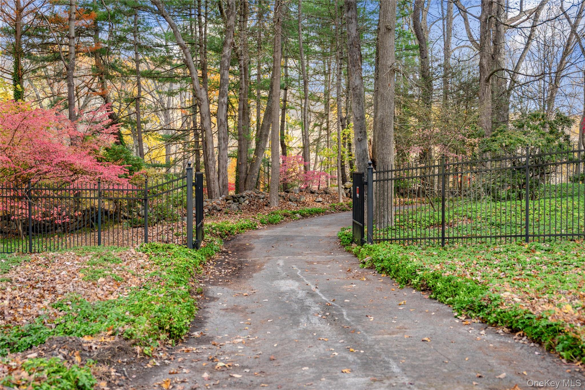 115 Old Roaring Brook Road Mount Kisco, NY 10549 - Photo 16 of 25 a view of a park with large trees