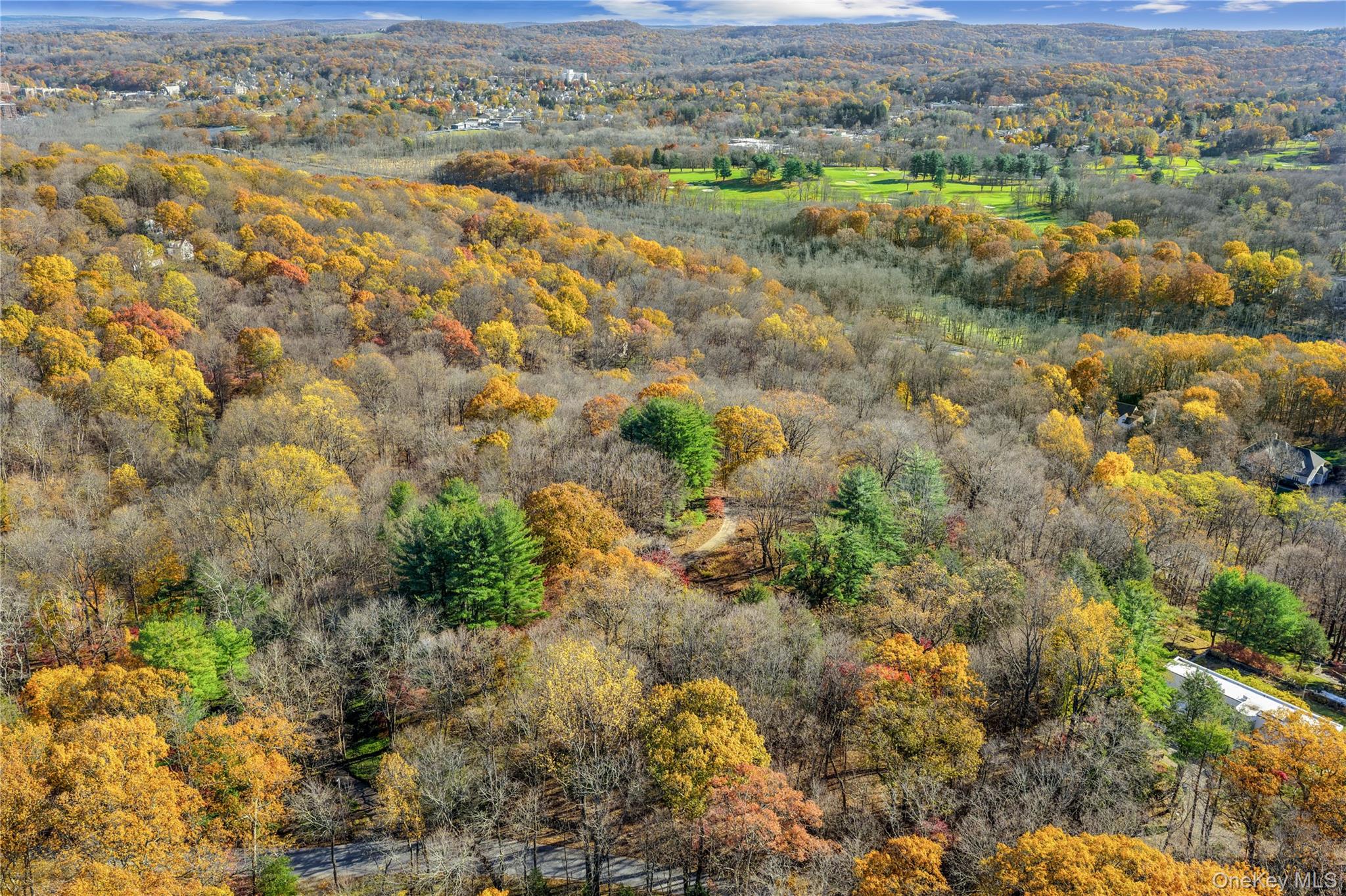 115 Old Roaring Brook Road Mount Kisco, NY 10549 - Photo 20 of 20 an aerial view of residential houses with outdoor space