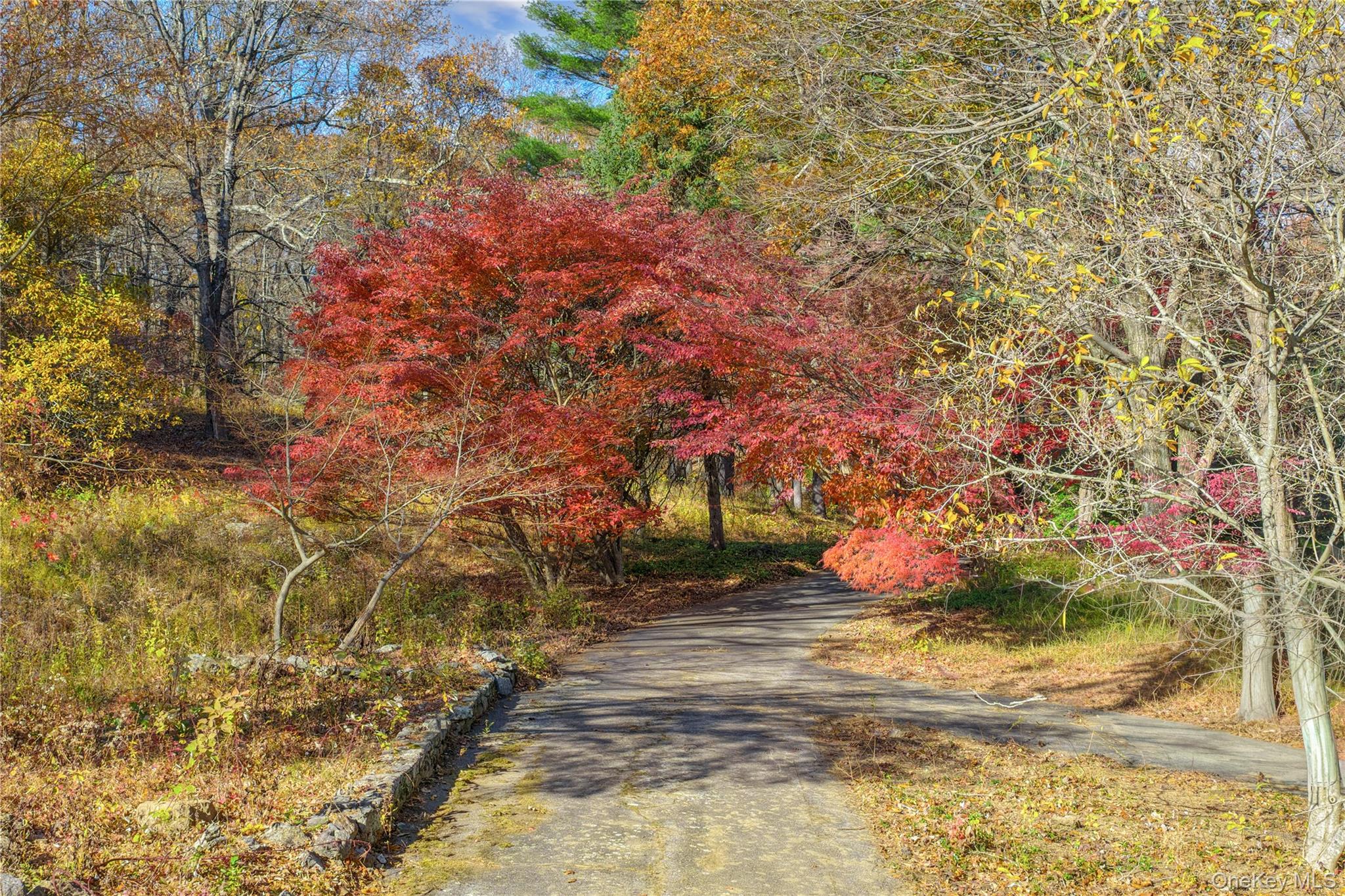 115 Old Roaring Brook Road Mount Kisco, NY 10549 - Photo 24 of 25 a view of a yard