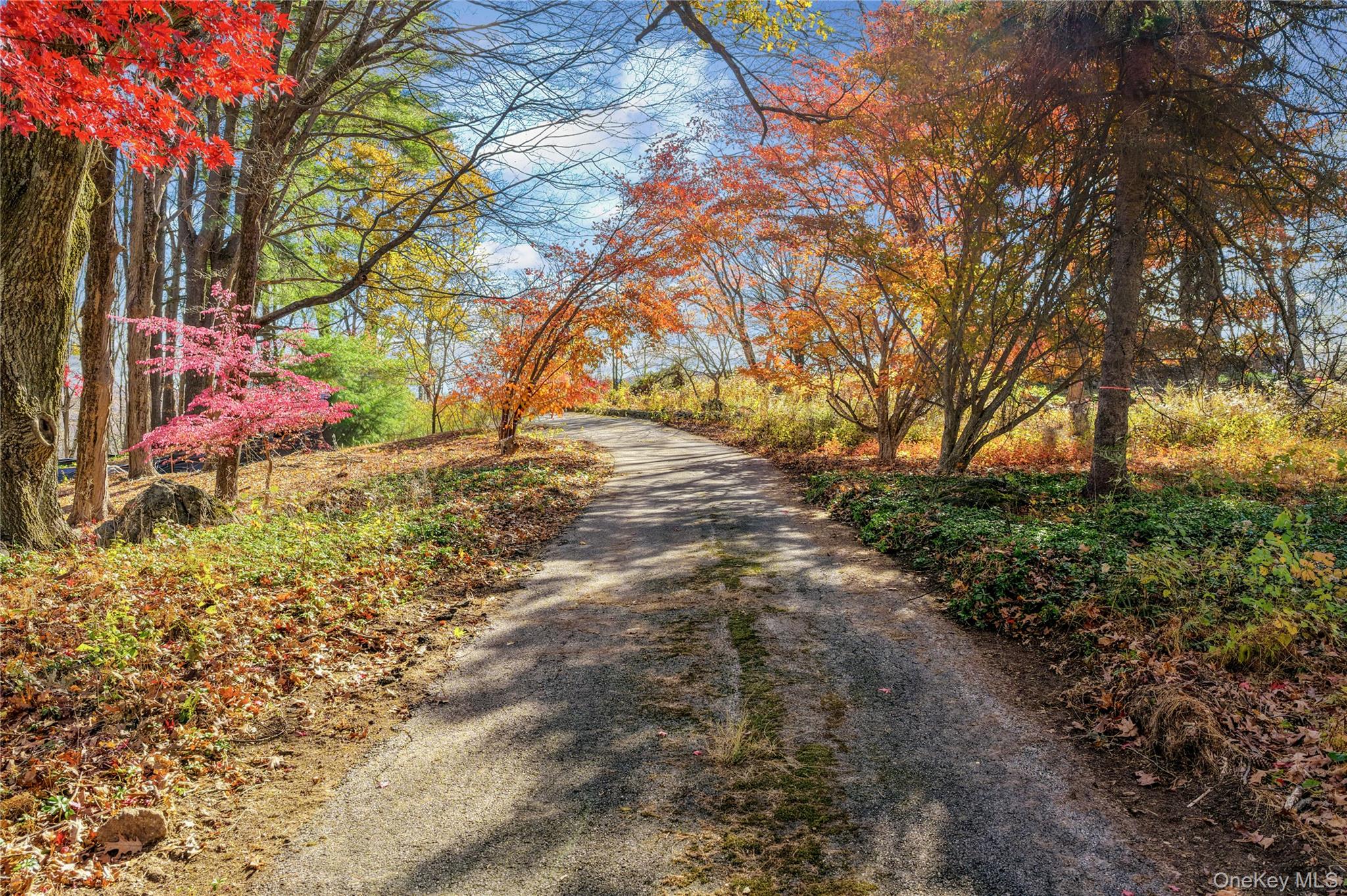 115 Old Roaring Brook Road Mount Kisco, NY 10549 - Photo 8 of 20 a backyard of a house with lots of green space