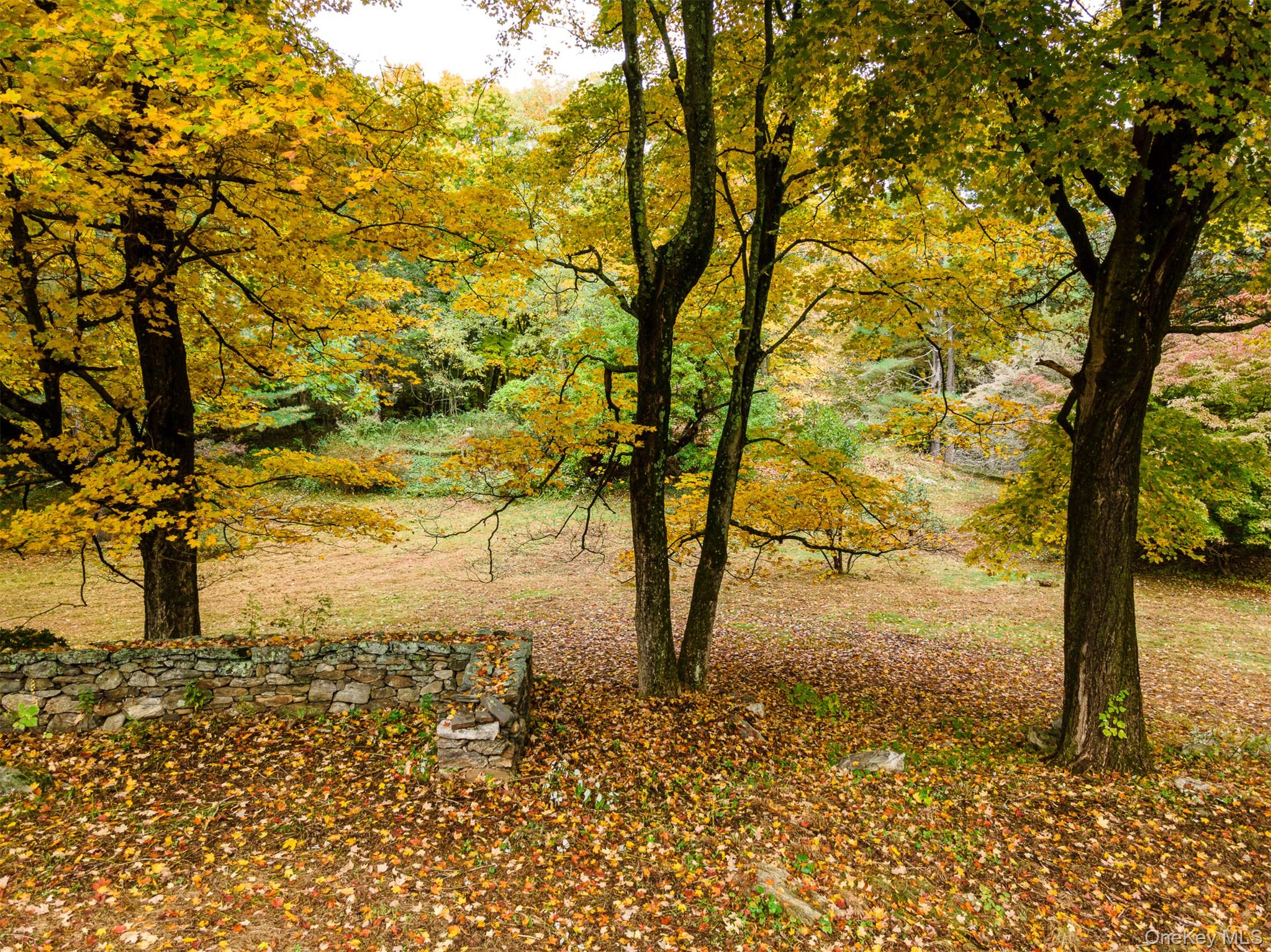 115 Old Roaring Brook Road Mount Kisco, NY 10549 - Photo 10 of 11