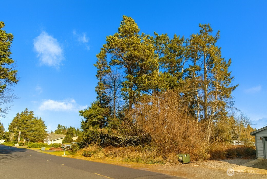 30904 M Place Ocean Park, WA 98640 - Photo 1 of 15 a view of a yard