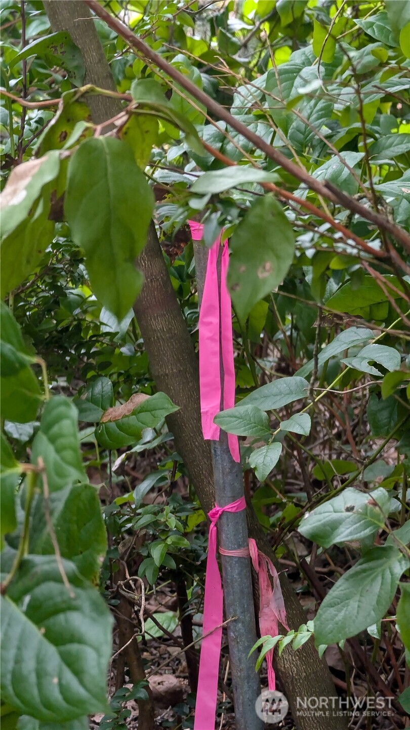 30904 M Place Ocean Park, WA 98640 - Photo 4 of 15