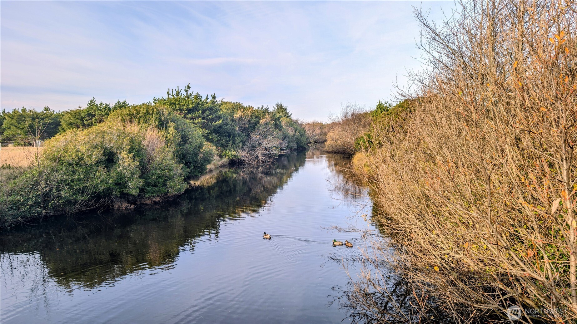 30904 M Place Ocean Park, WA 98640 - Photo 6 of 15 a view of a lake with houses in the back