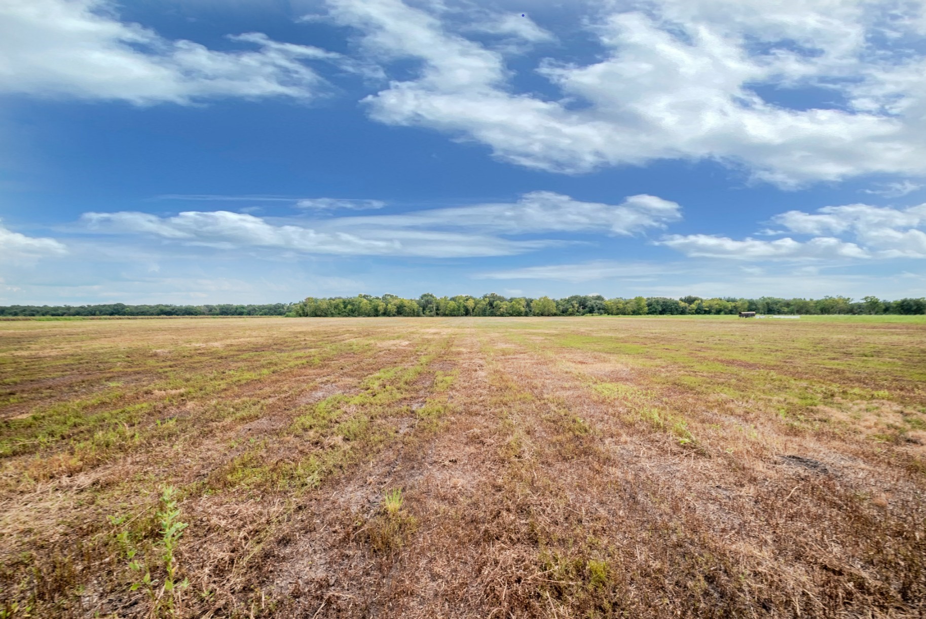 2 Charlie Meyer Road Damon, TX 77430 - Photo 11 of 38 a view of a lake view
