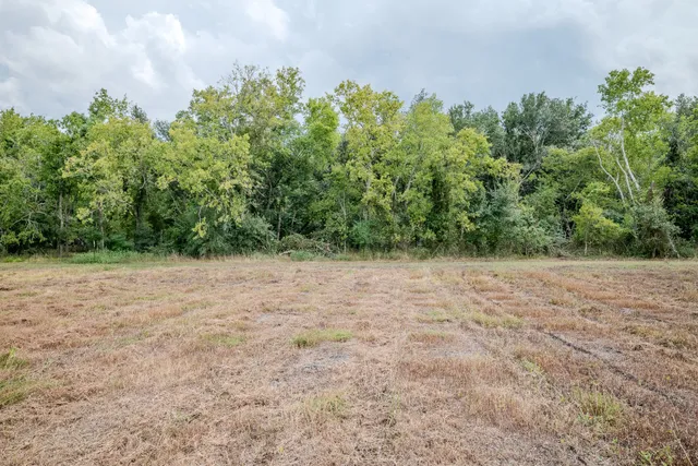 a view of empty field with trees in background