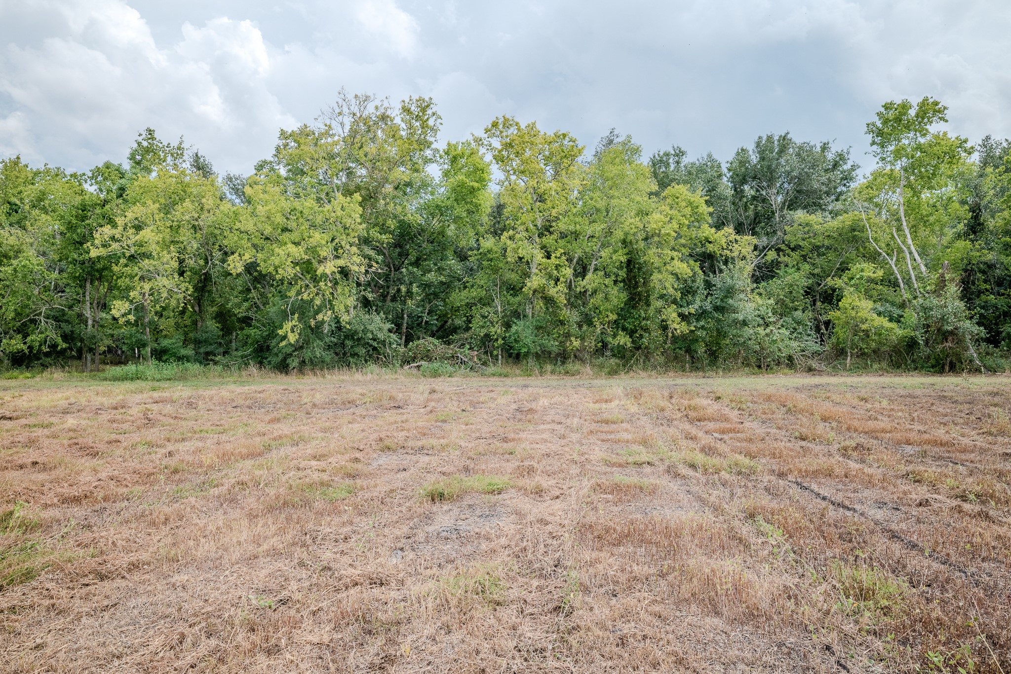 2 Charlie Meyer Road Damon, TX 77430 - Photo 13 of 38 a view of empty field with trees in background