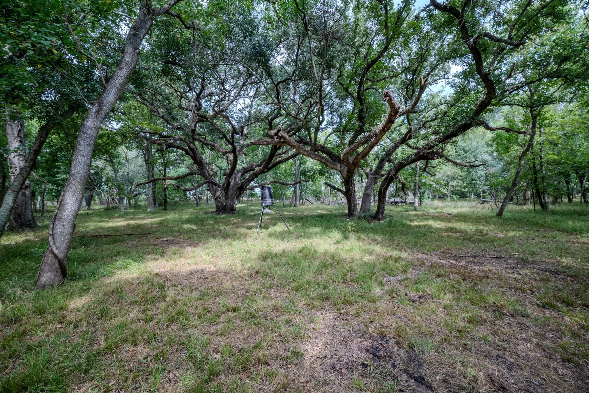 2 Charlie Meyer Road Damon, TX 77430 - Photo 20 of 38 a view of outdoor space with trees