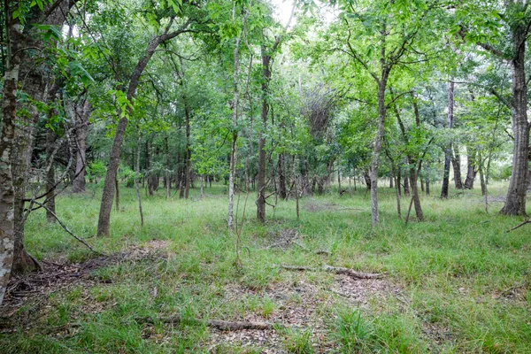 $305,000 | 2 Charlie Meyer Road, Damon, TX 77430