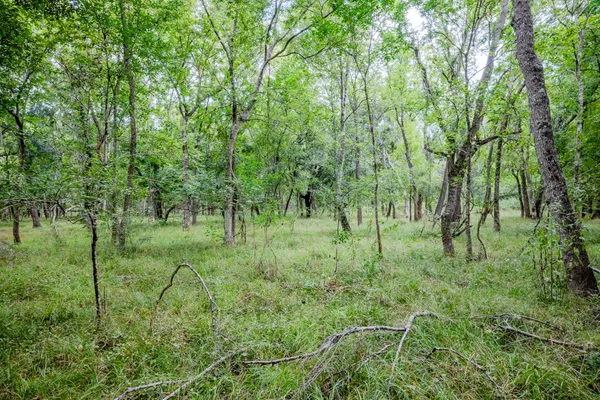 $305,000 | 2 Charlie Meyer Road, Damon, TX 77430