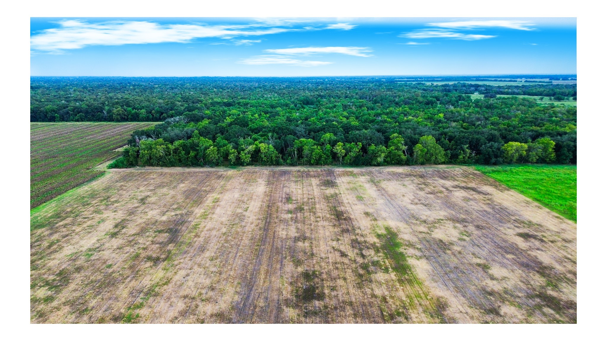 2 Charlie Meyer Road Damon, TX 77430 - Photo 35 of 38 a view of yard with ocean view