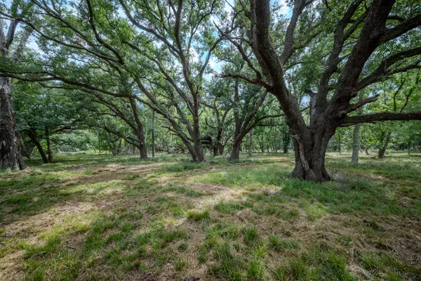 $305,000 | 2 Charlie Meyer Road, Damon, TX 77430
