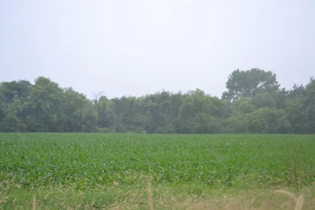 a view of an outdoor space and a yard