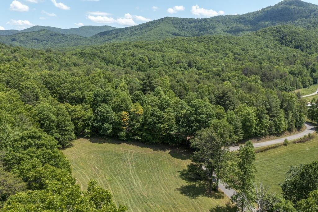 34 Donley Road Murphy, NC 28906 - Photo 2 of 37 Gallery Image 2