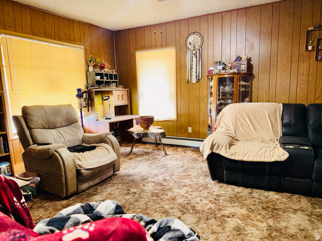 393 West Center Street Springville, UT 84663 - Photo 4 of 17