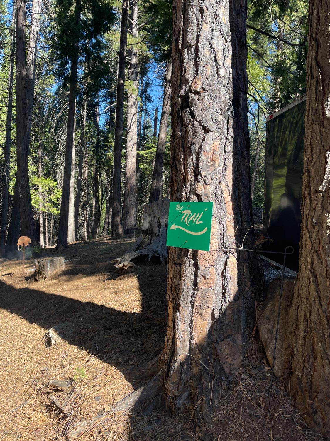 1641 Meadowview Road Arnold, CA 95223 - Photo 43 of 71 Walking trail approx 1/3 mile